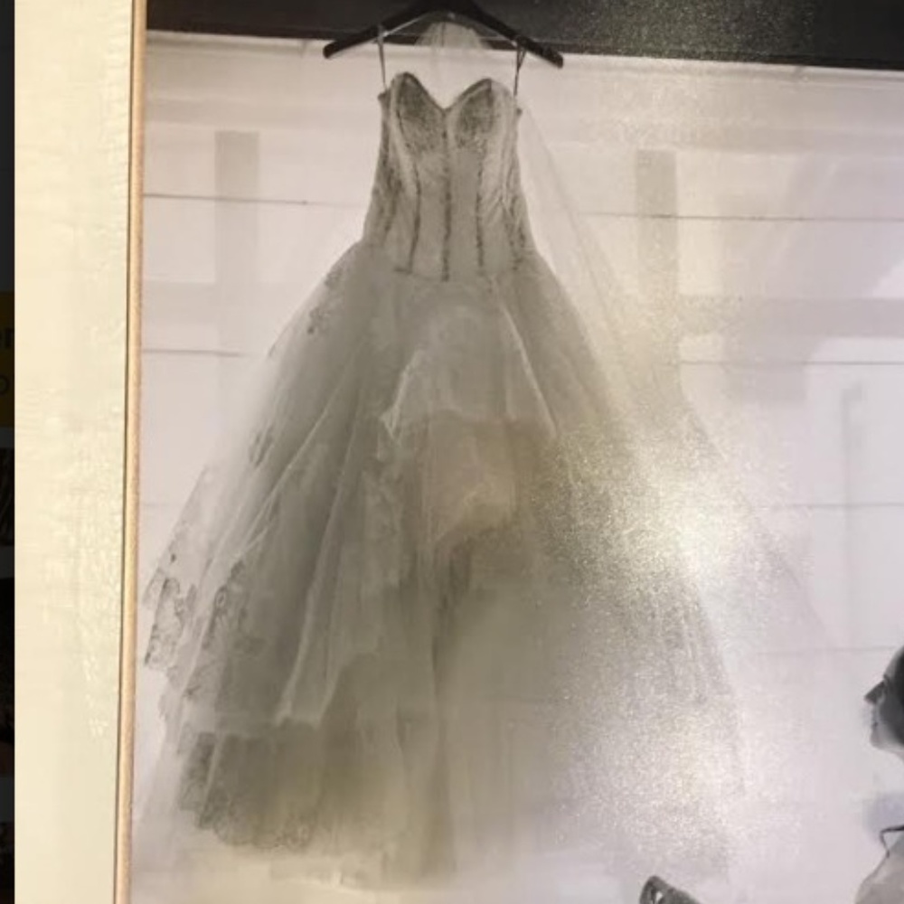 Monique Lhuillier Bridal Gown - Powder - size 2
